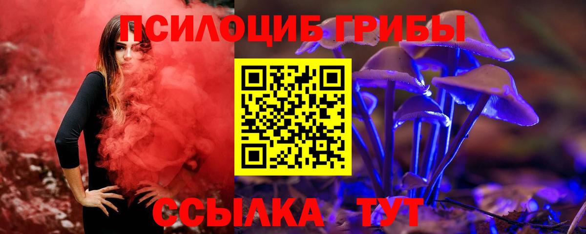 Псилоцибиновые грибы GOLDEN TEACHER  Вход с VPN  Псилоцибиновые грибы мицелий  Тара 
